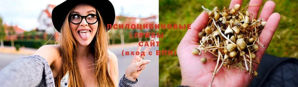 бутират Балахна