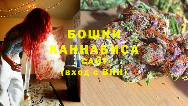 дживик Баксан