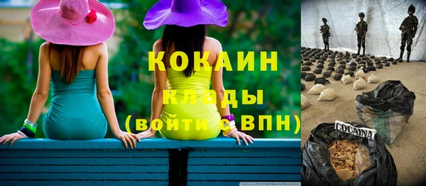 дживик Баксан