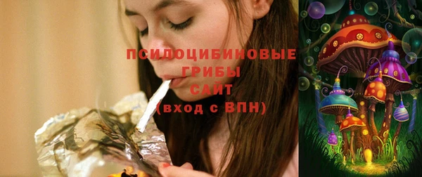 дживик Баксан