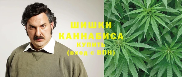 дживик Баксан